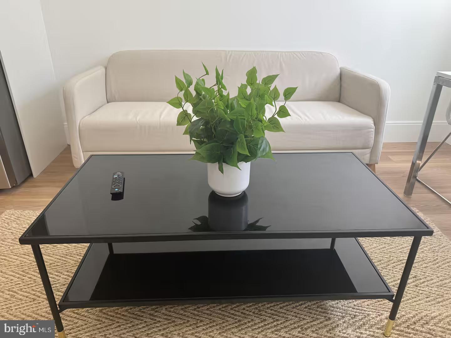 2517 Ontario Road Northwest, Unit 3 Washington, DC 20009 - Photo 4 of 12