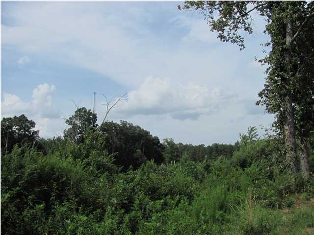 15 Blythe Ferry Road Dayton, TN 37321 - Photo 5 of 9 Additional Photo