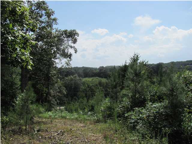 15 Blythe Ferry Road Dayton, TN 37321 - Photo 6 of 9 Additional Photo