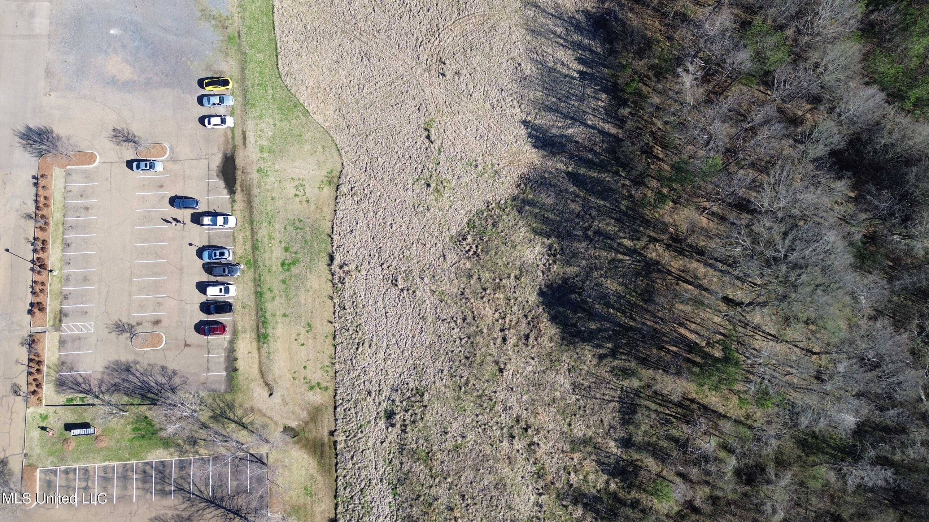 Magnolia Street Madison, MS 39110 - Photo 2 of 5 DJI_0699