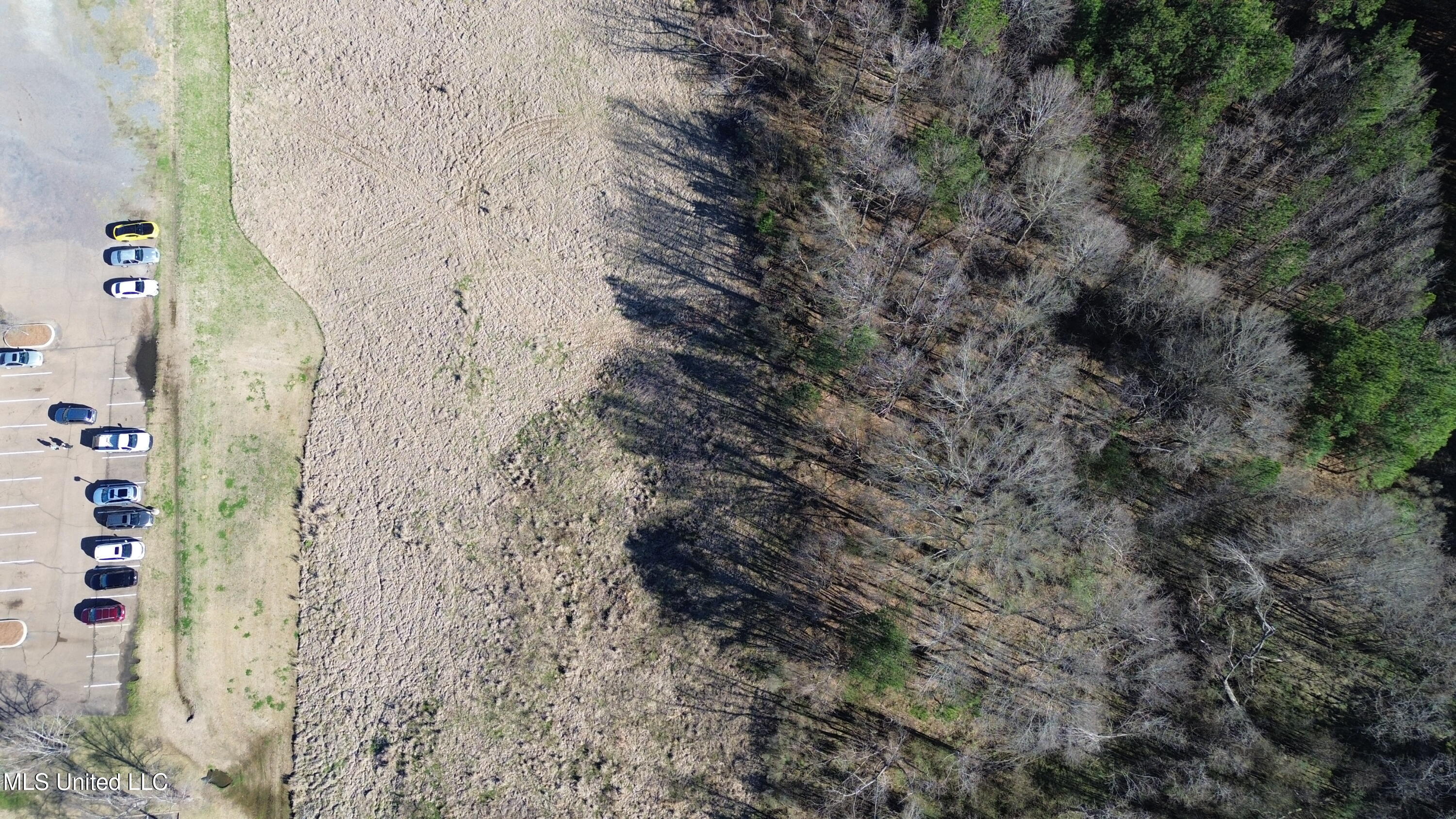 Magnolia Street Madison, MS 39110 - Photo 3 of 5 DJI_0700
