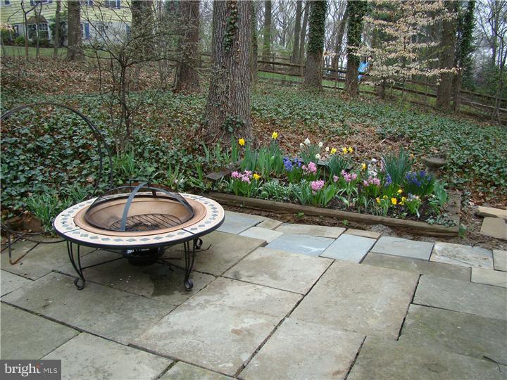 706 West Valley Road Wayne, PA 19087 - Photo 23 of 25 Garden