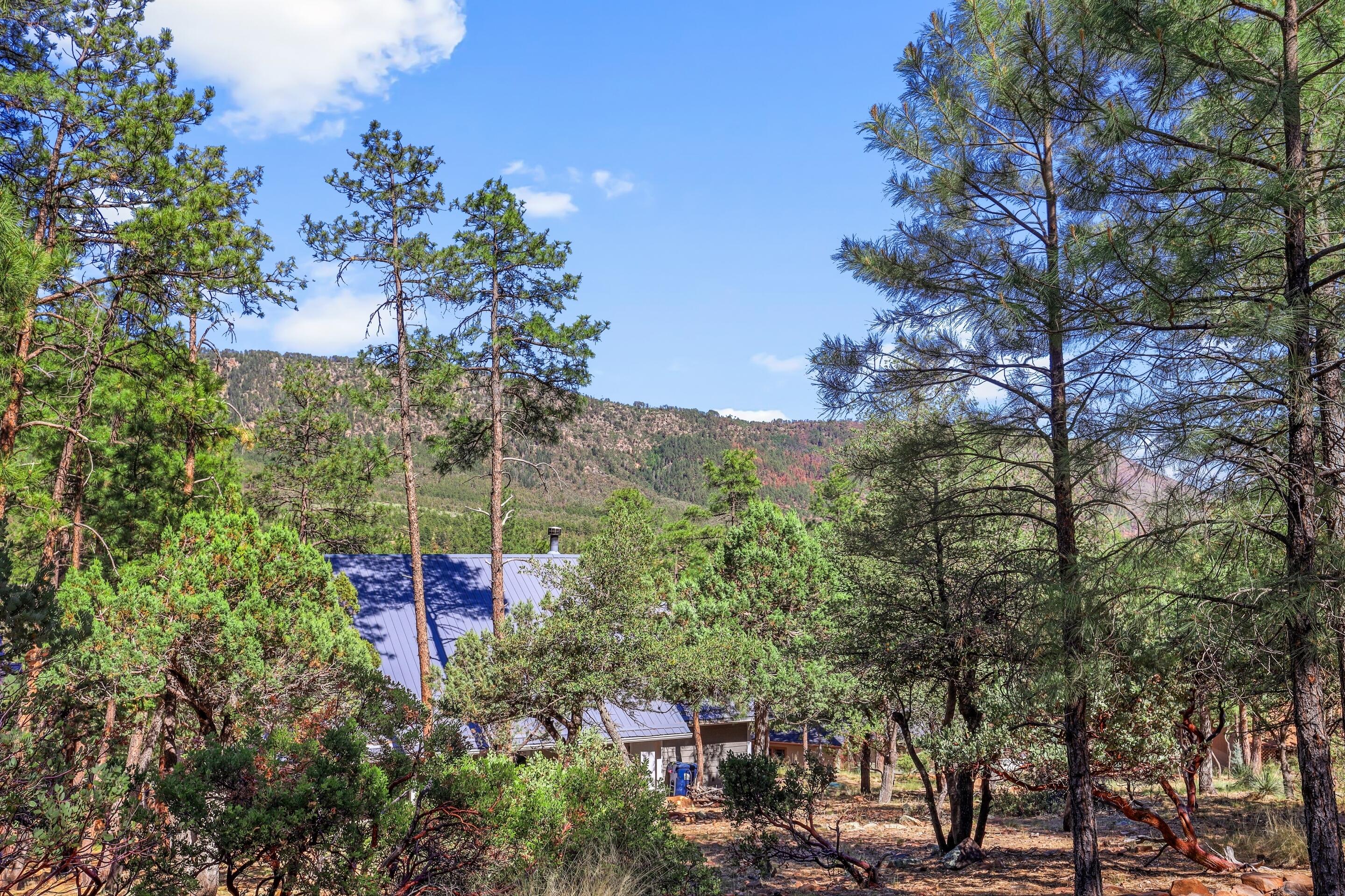 5108 Juniper Loop Pine, AZ 85544 - Photo 24 of 27 mls-1E0A9022