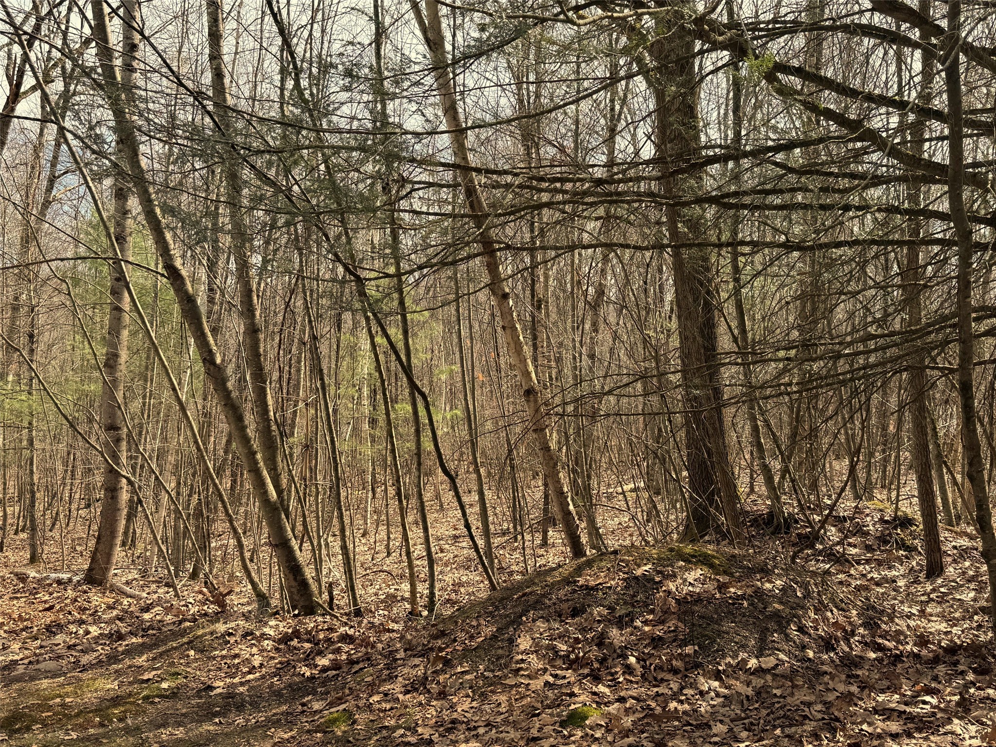 2522 Bouchouxville Road Hancock, NY 13783 - Photo 45 of 50