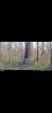 $89,000 | Dewey, Munith, MI 49259