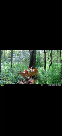 $89,000 | Dewey, Munith, MI 49259