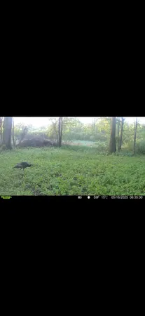 $89,000 | Dewey, Munith, MI 49259