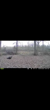 $89,000 | Dewey, Munith, MI 49259