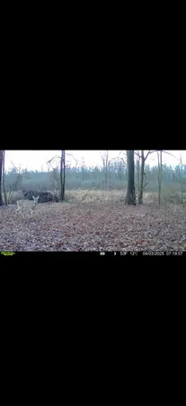 $89,000 | Dewey, Munith, MI 49259