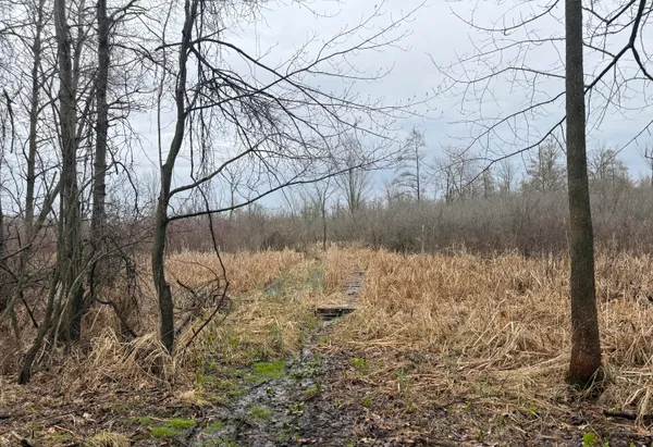 $89,000 | Dewey, Munith, MI 49259