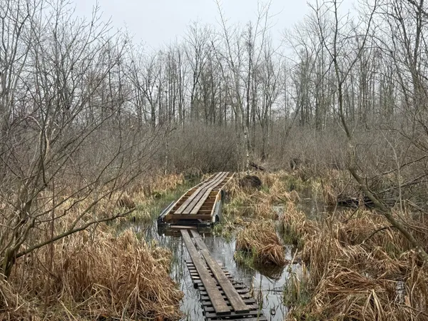 $89,000 | Dewey, Munith, MI 49259