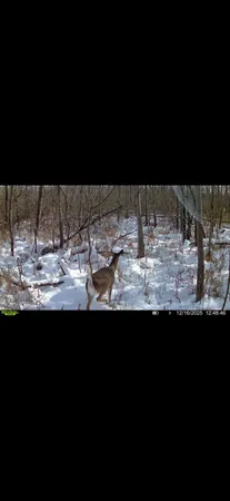 $89,000 | Dewey, Munith, MI 49259