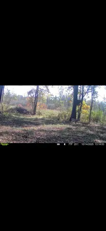 $89,000 | Dewey, Munith, MI 49259