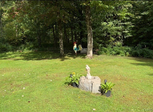 11205 Jones Road Remsen, NY 13438 - Photo 23 of 31 Gallery Image 23