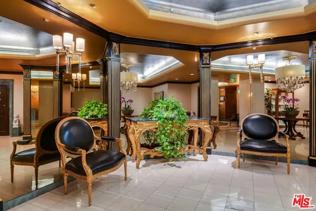 a room with furniture and potted plant