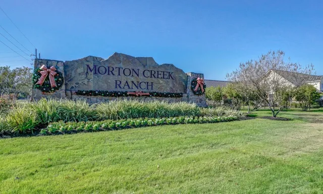 a view of a back yard