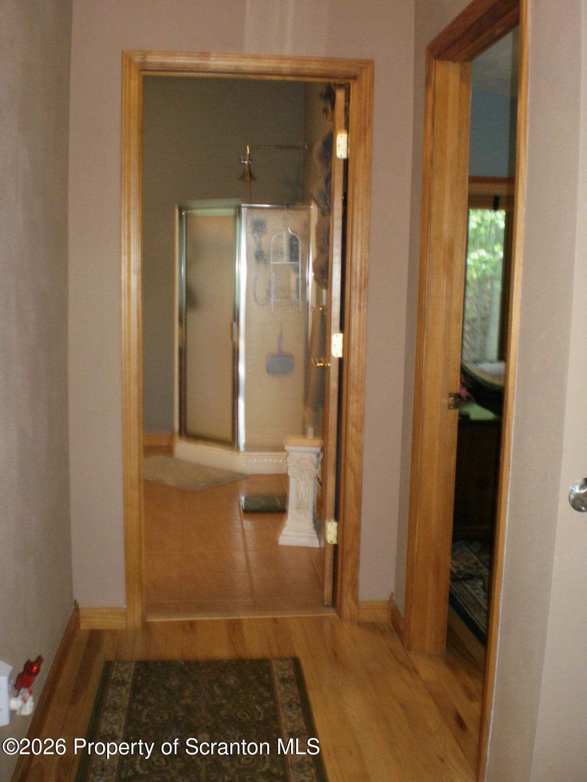 2669 East Lake Road New Milford, PA 18834 - Photo 40 of 75 P1012140 - Copy