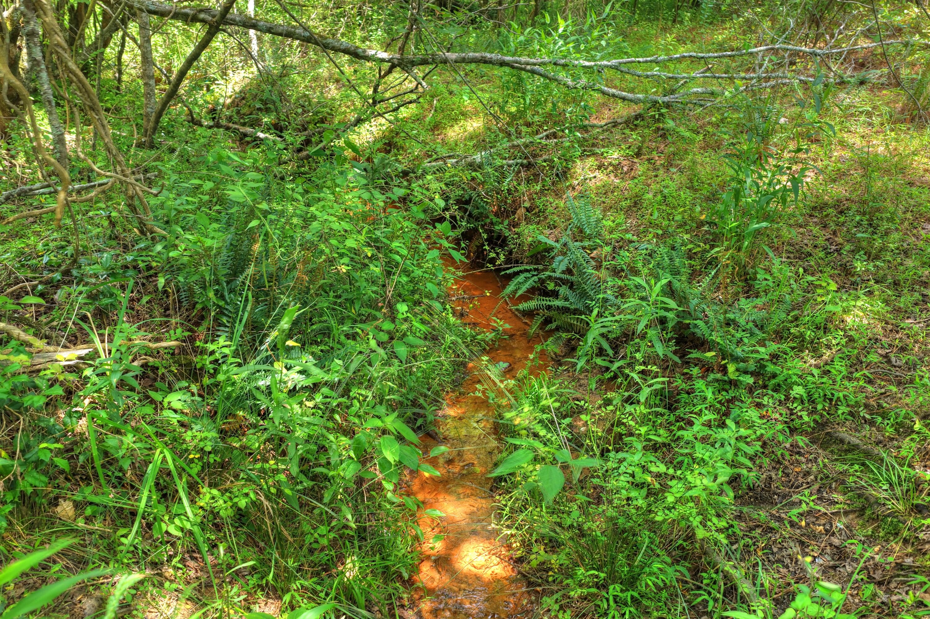 526 Airport Road Copperhill, TN 37317 - Photo 10 of 28 Airport Rd Byrd Property (9)