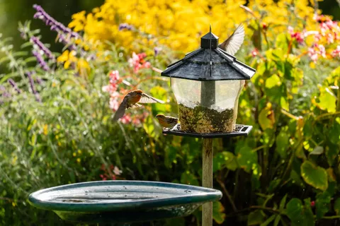 $5,900,000 | 65-1508 Kawaihae Road, Kamuela, HI 96743