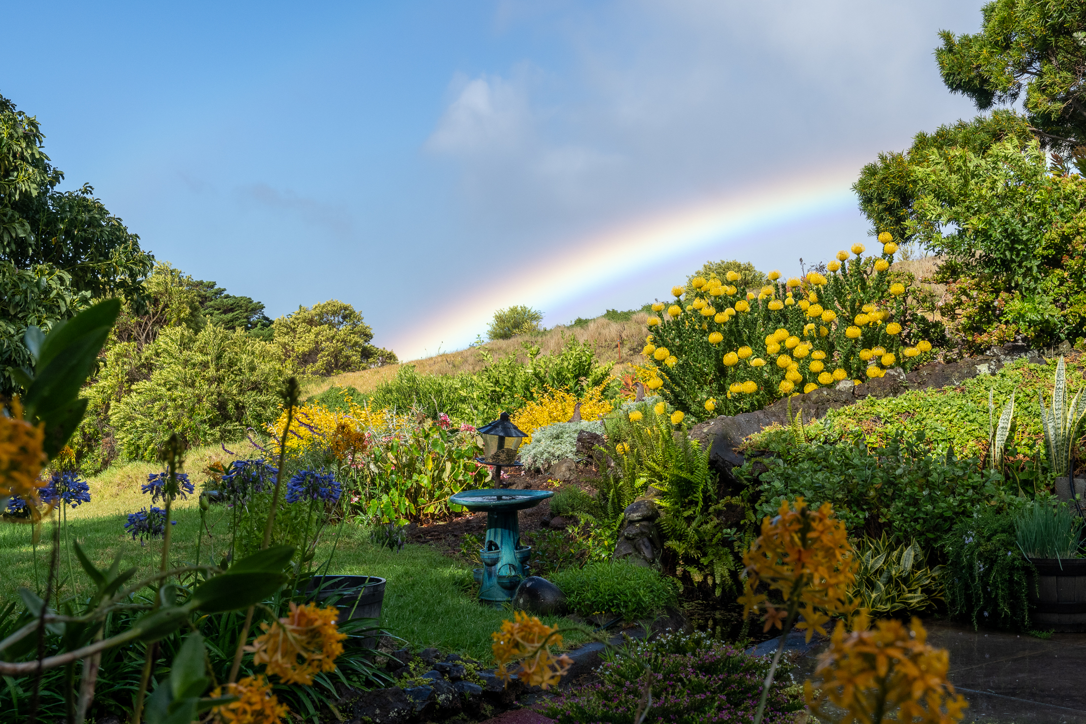 65-1508 Kawaihae Road Kamuela, HI 96743 - Photo 5 of 24