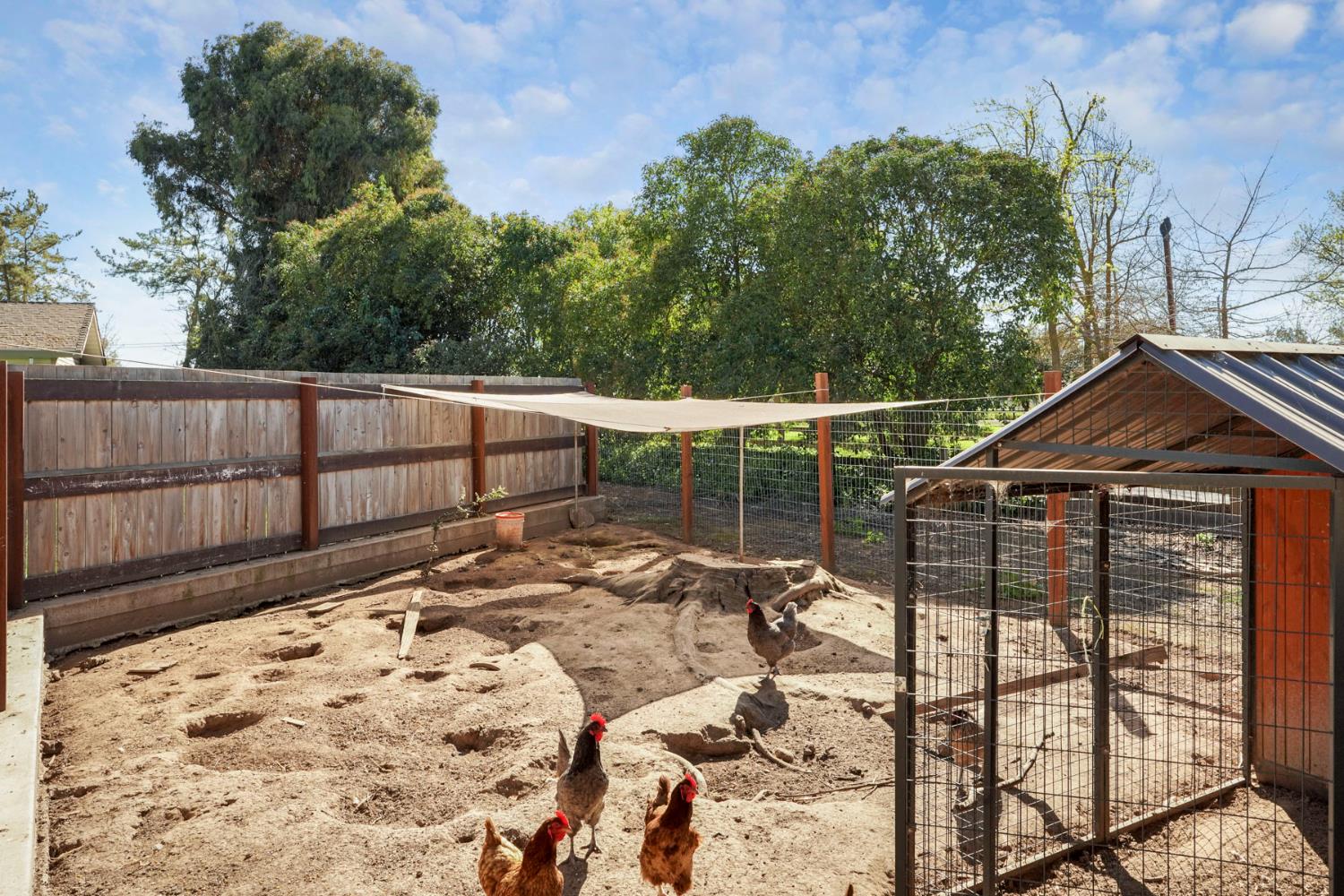 2539 East Woodson Road Acampo, CA 95220 - Photo 35 of 38