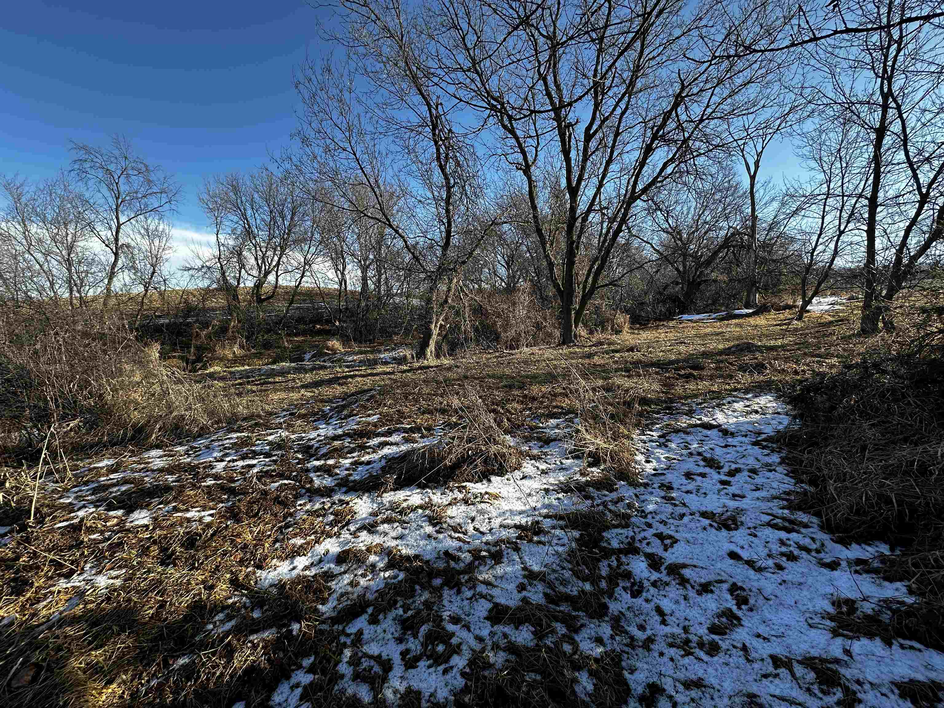 N2999 County Road B Oakfield, WI 53065 - Photo 12 of 49