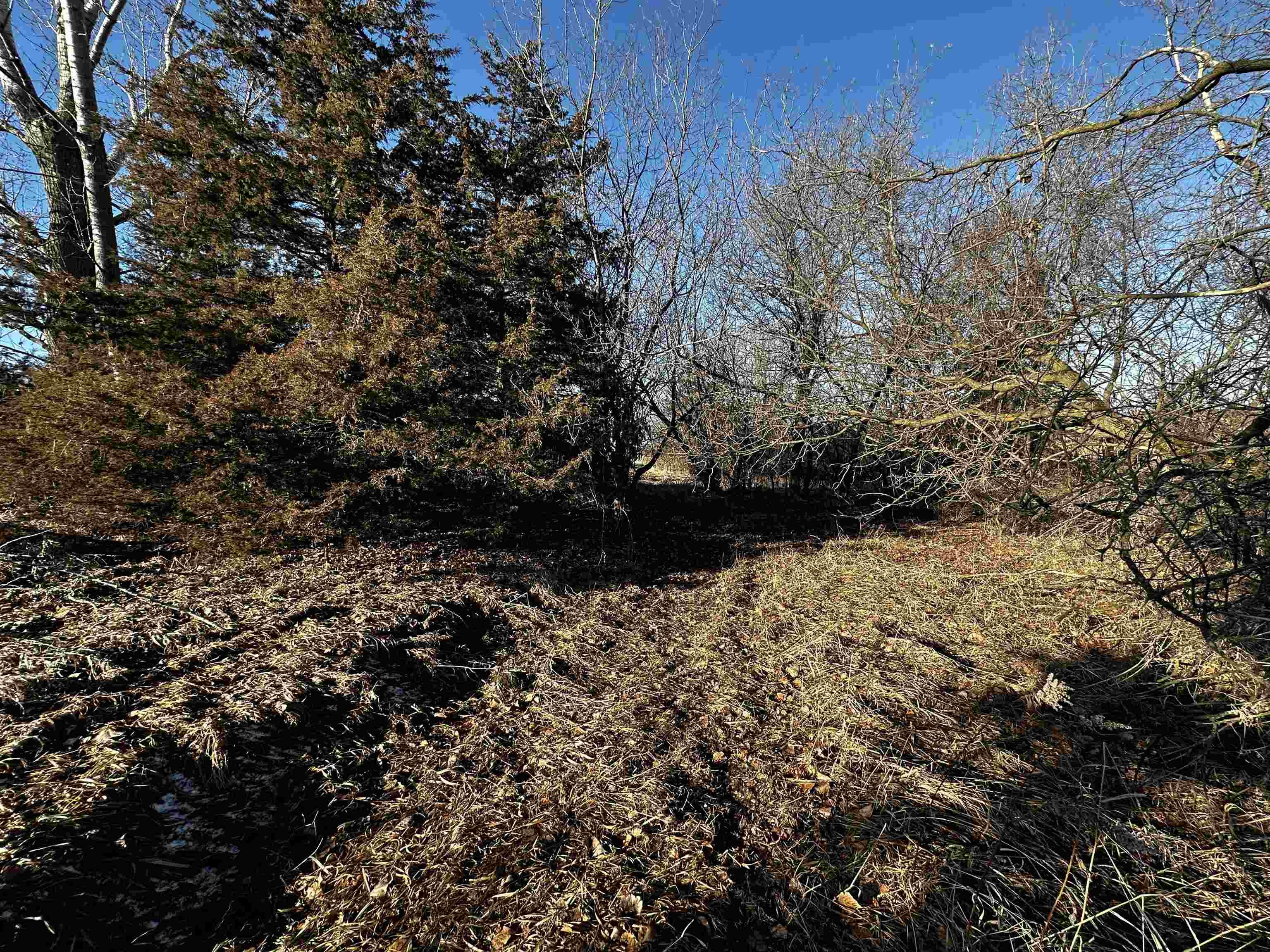 N2999 County Road B Oakfield, WI 53065 - Photo 13 of 49