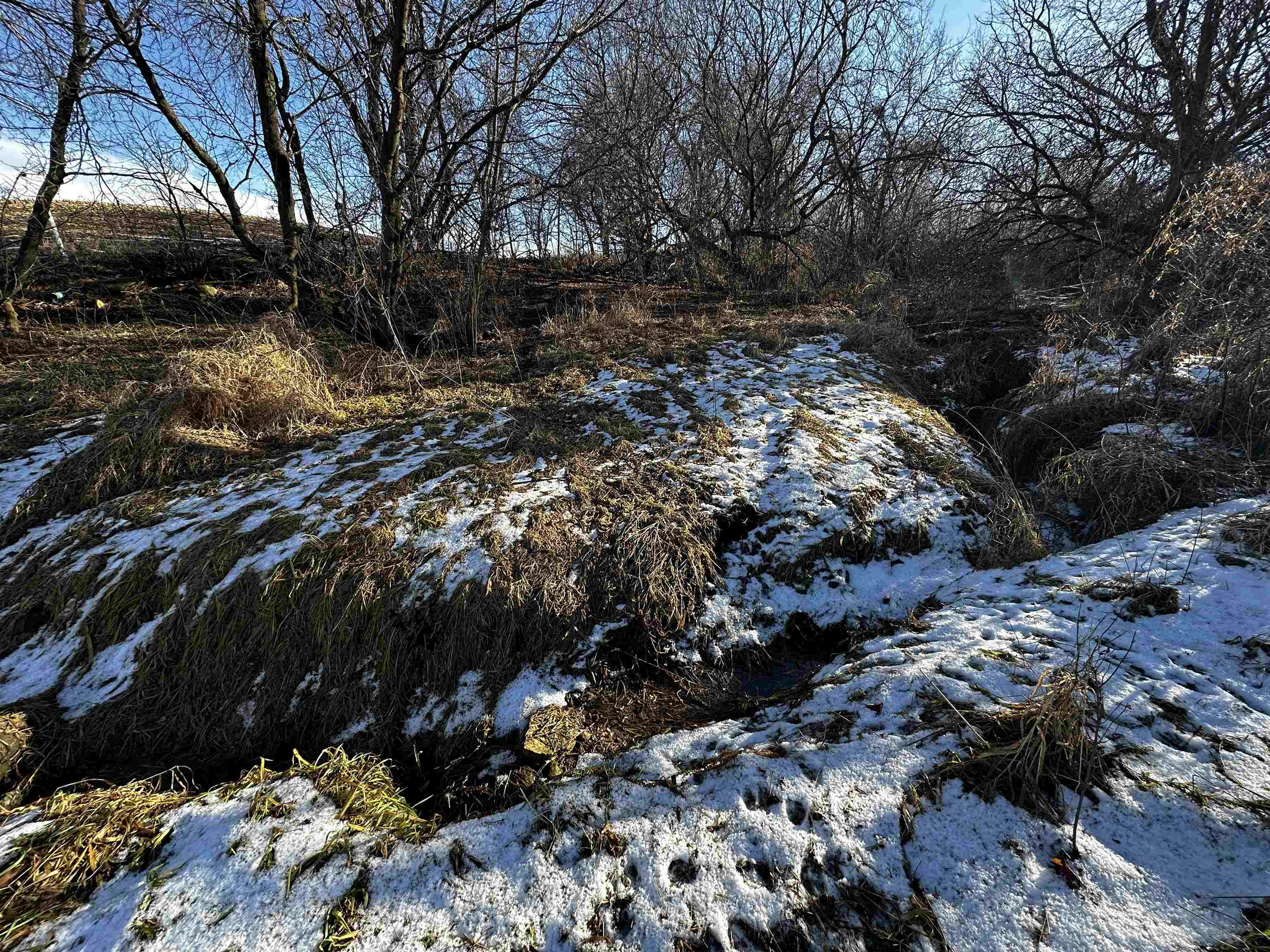 N2999 County Road B Oakfield, WI 53065 - Photo 14 of 49
