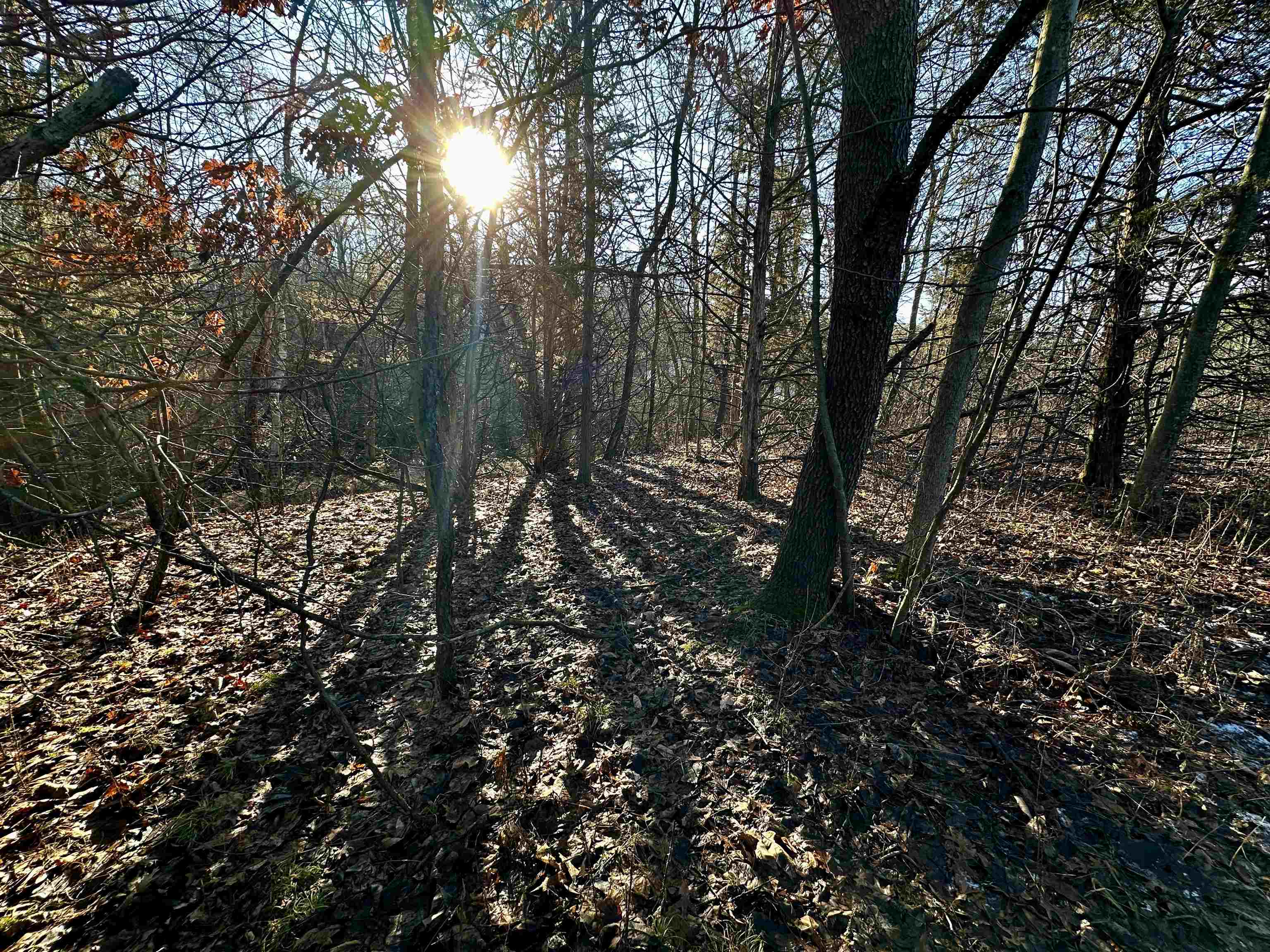 N2999 County Road B Oakfield, WI 53065 - Photo 21 of 49