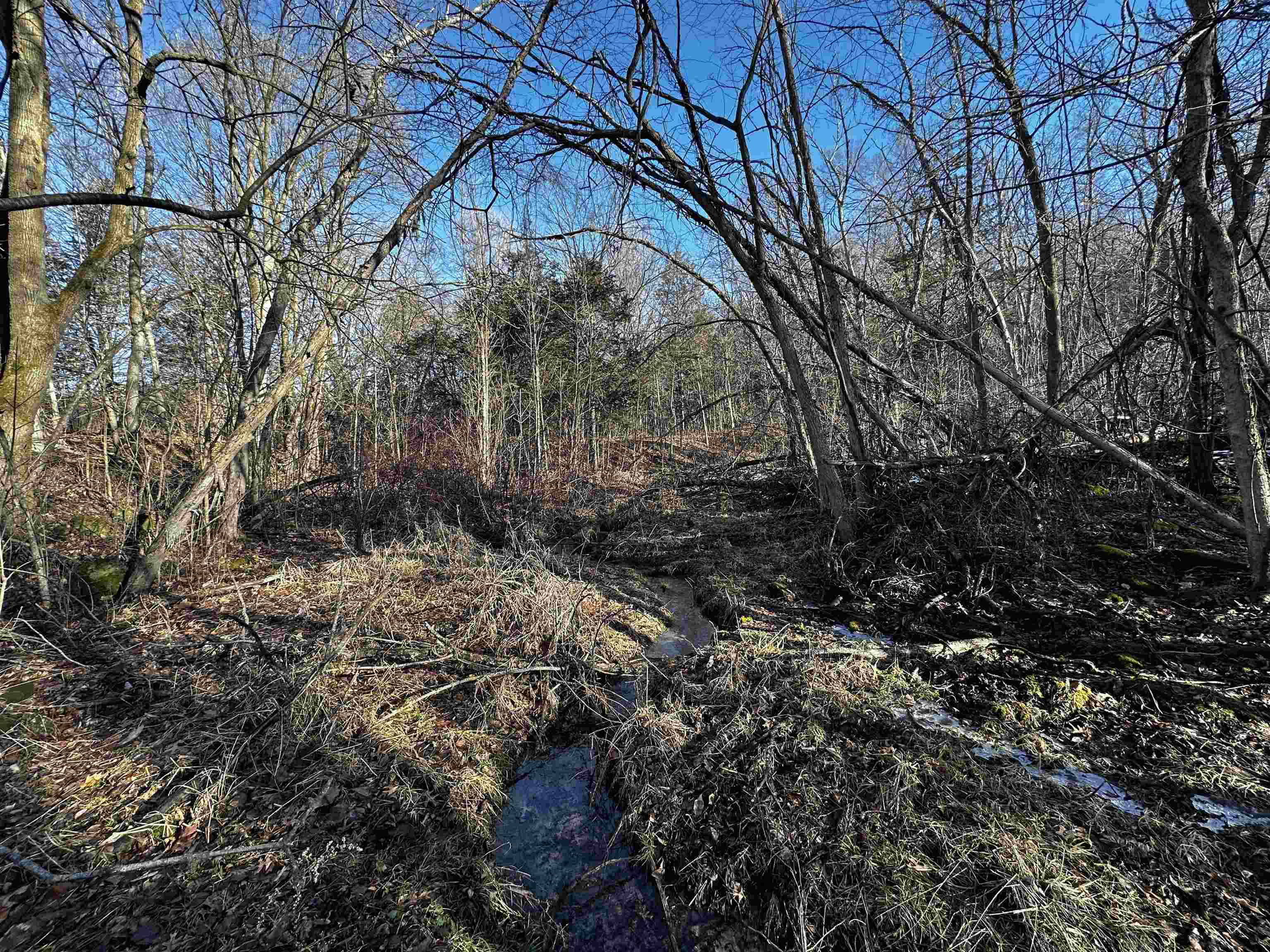 N2999 County Road B Oakfield, WI 53065 - Photo 23 of 49
