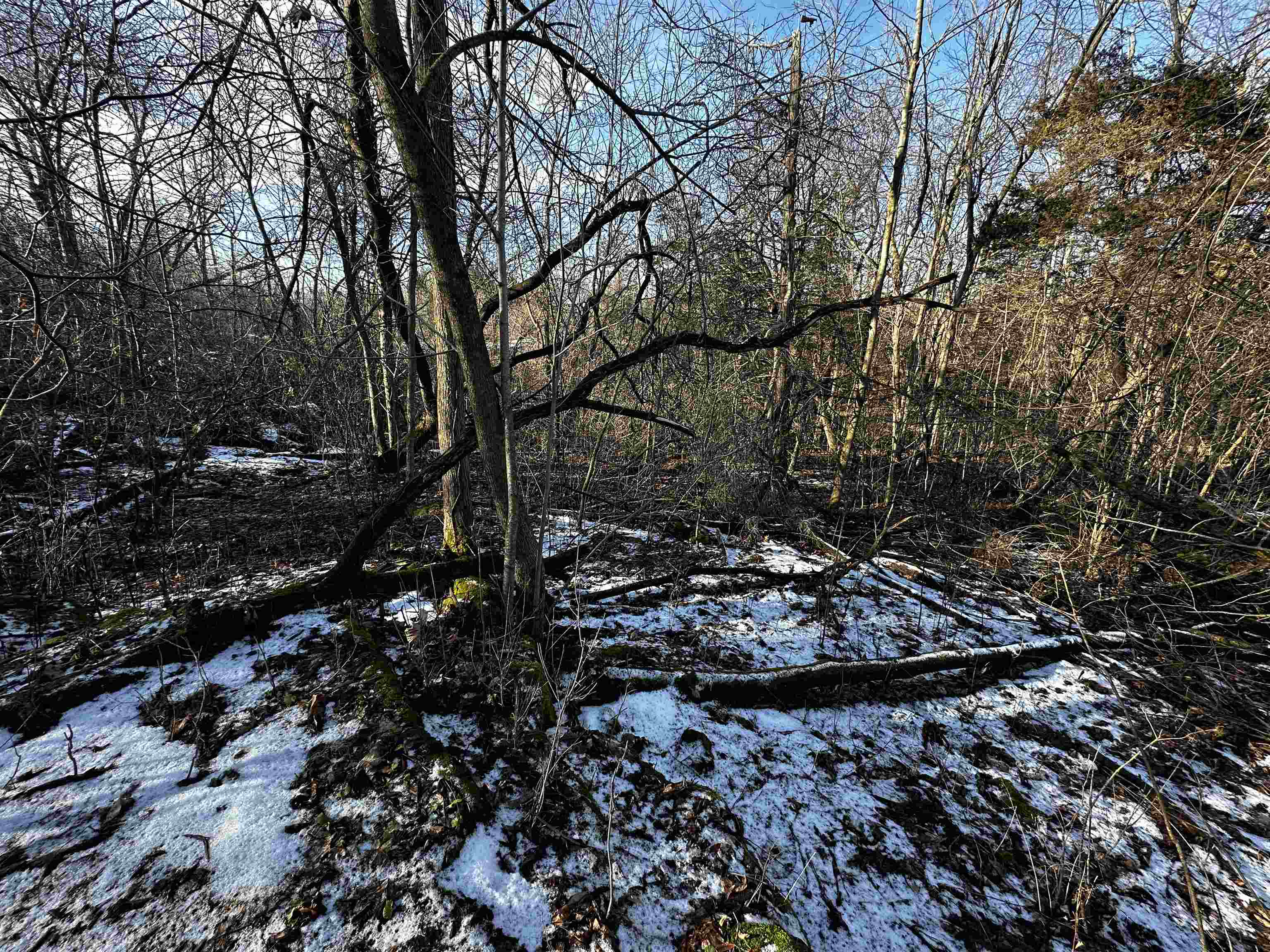 N2999 County Road B Oakfield, WI 53065 - Photo 24 of 49