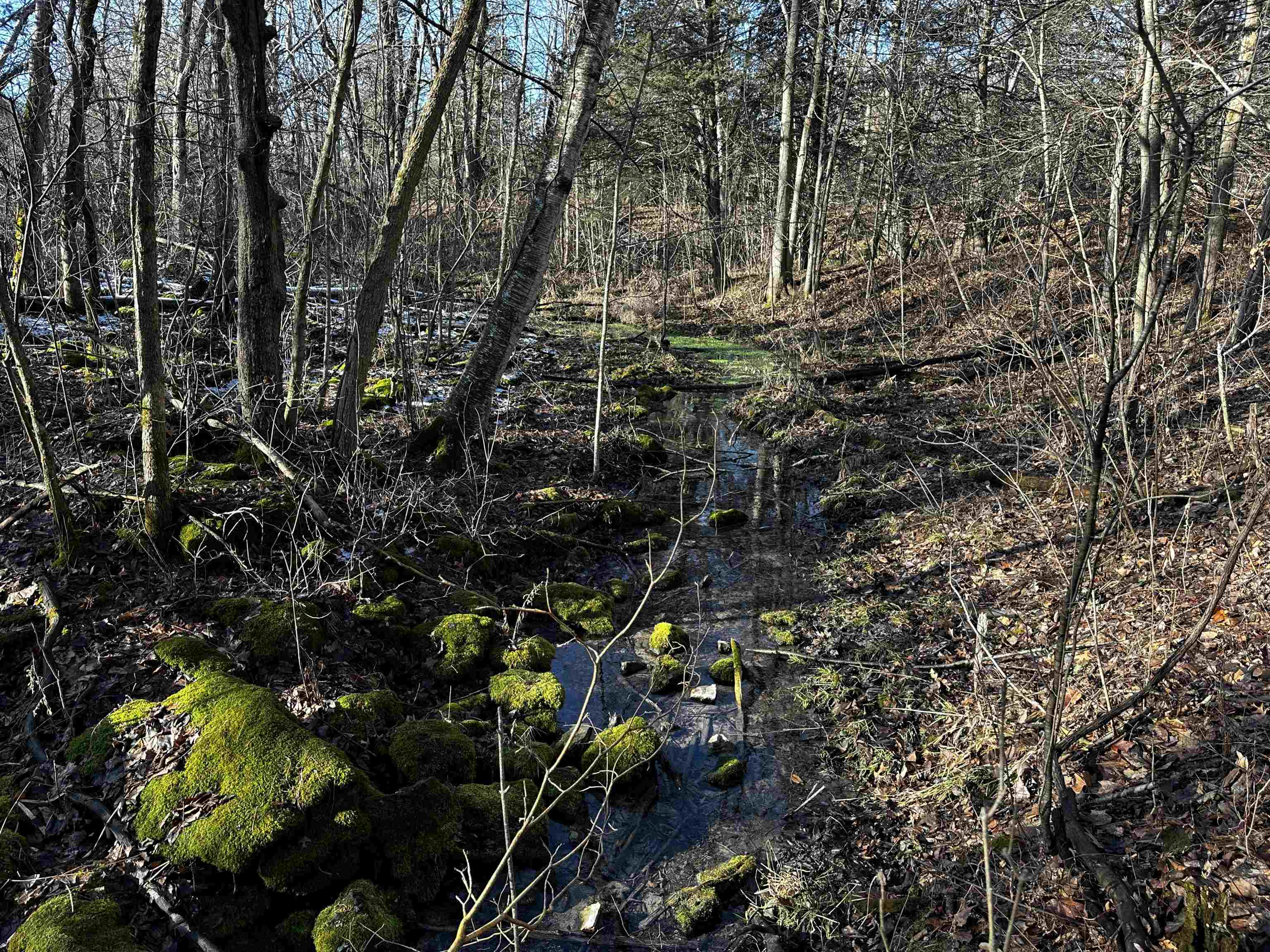 N2999 County Road B Oakfield, WI 53065 - Photo 25 of 49