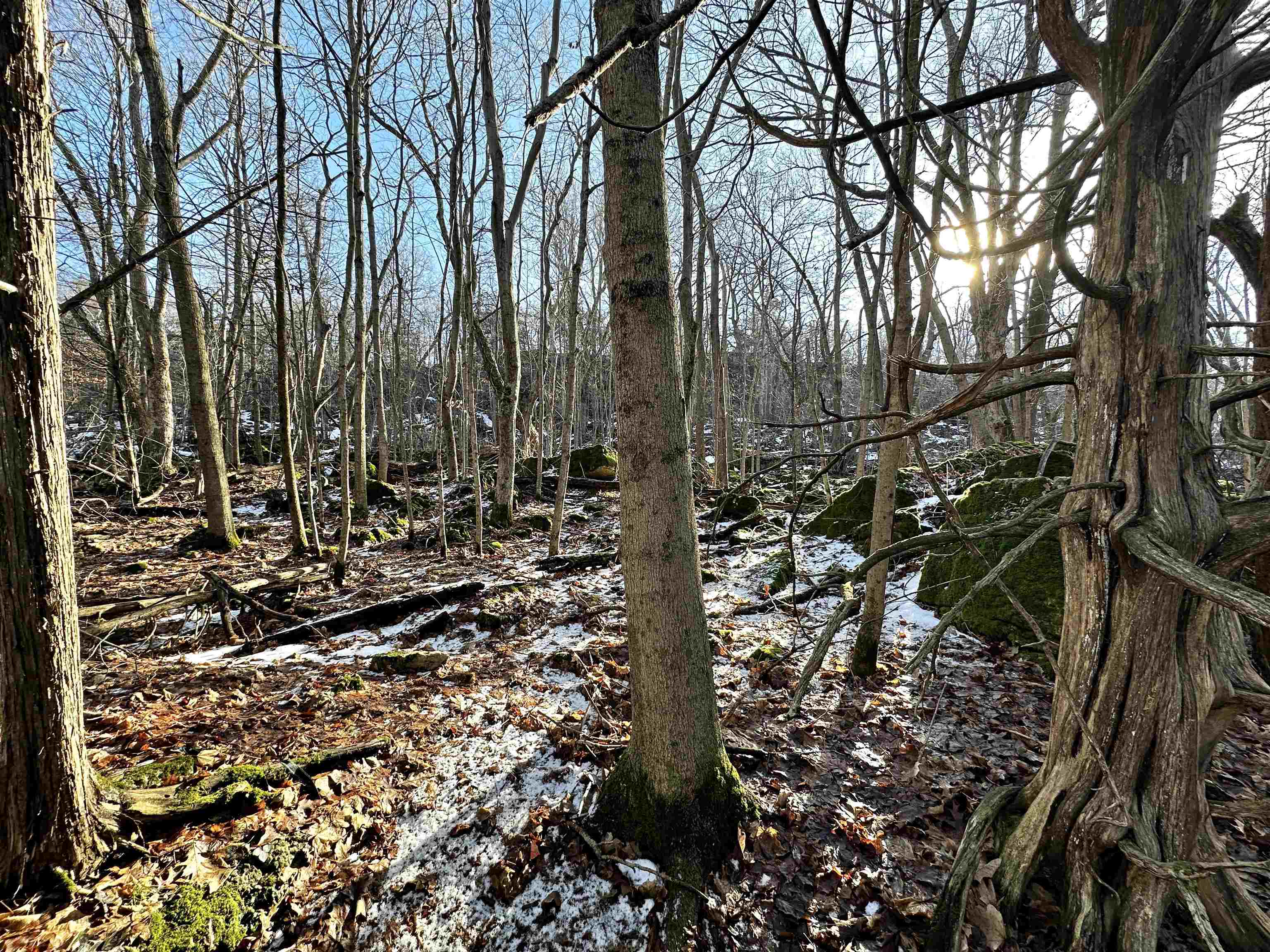 N2999 County Road B Oakfield, WI 53065 - Photo 28 of 49