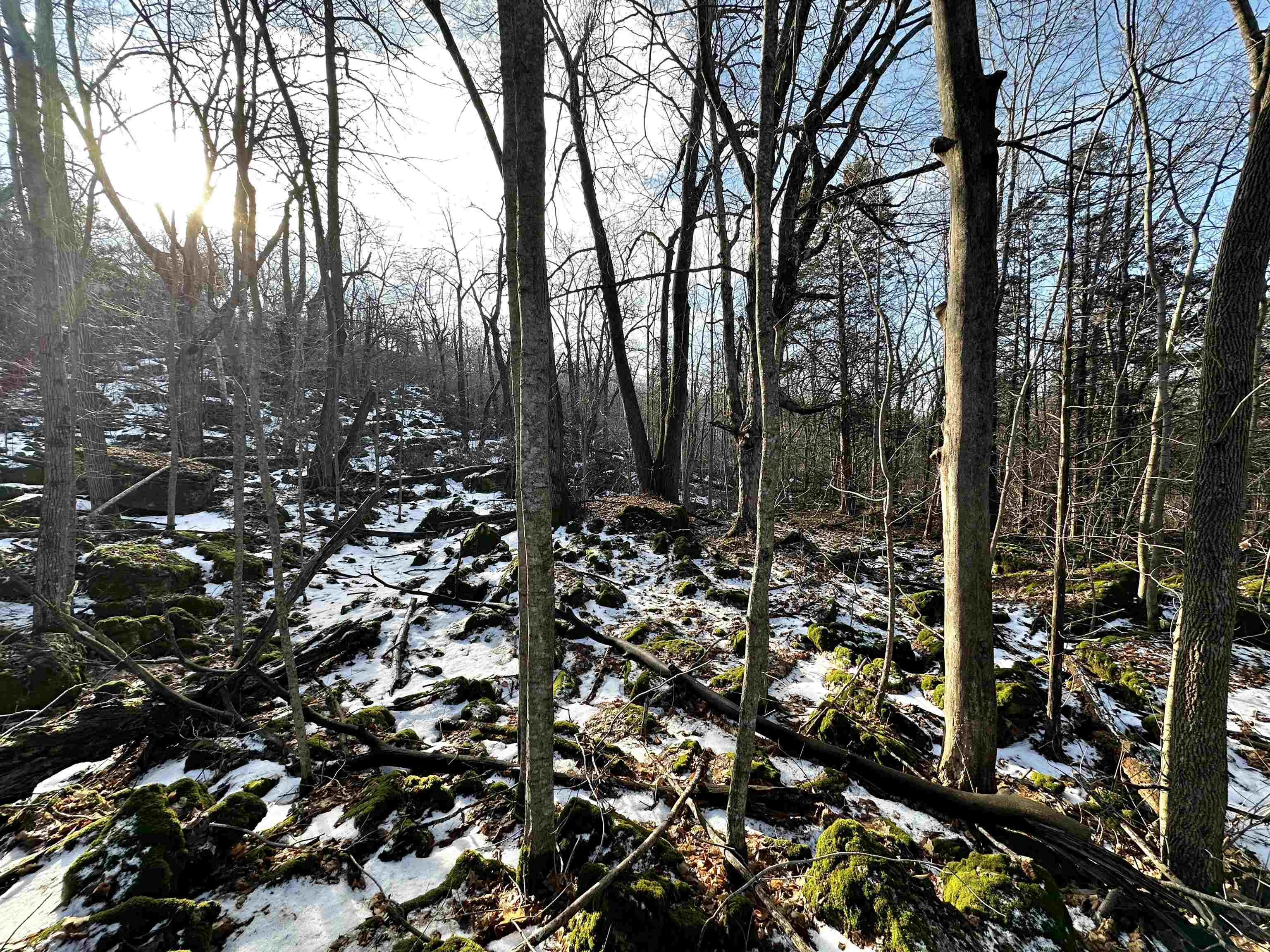 N2999 County Road B Oakfield, WI 53065 - Photo 29 of 49