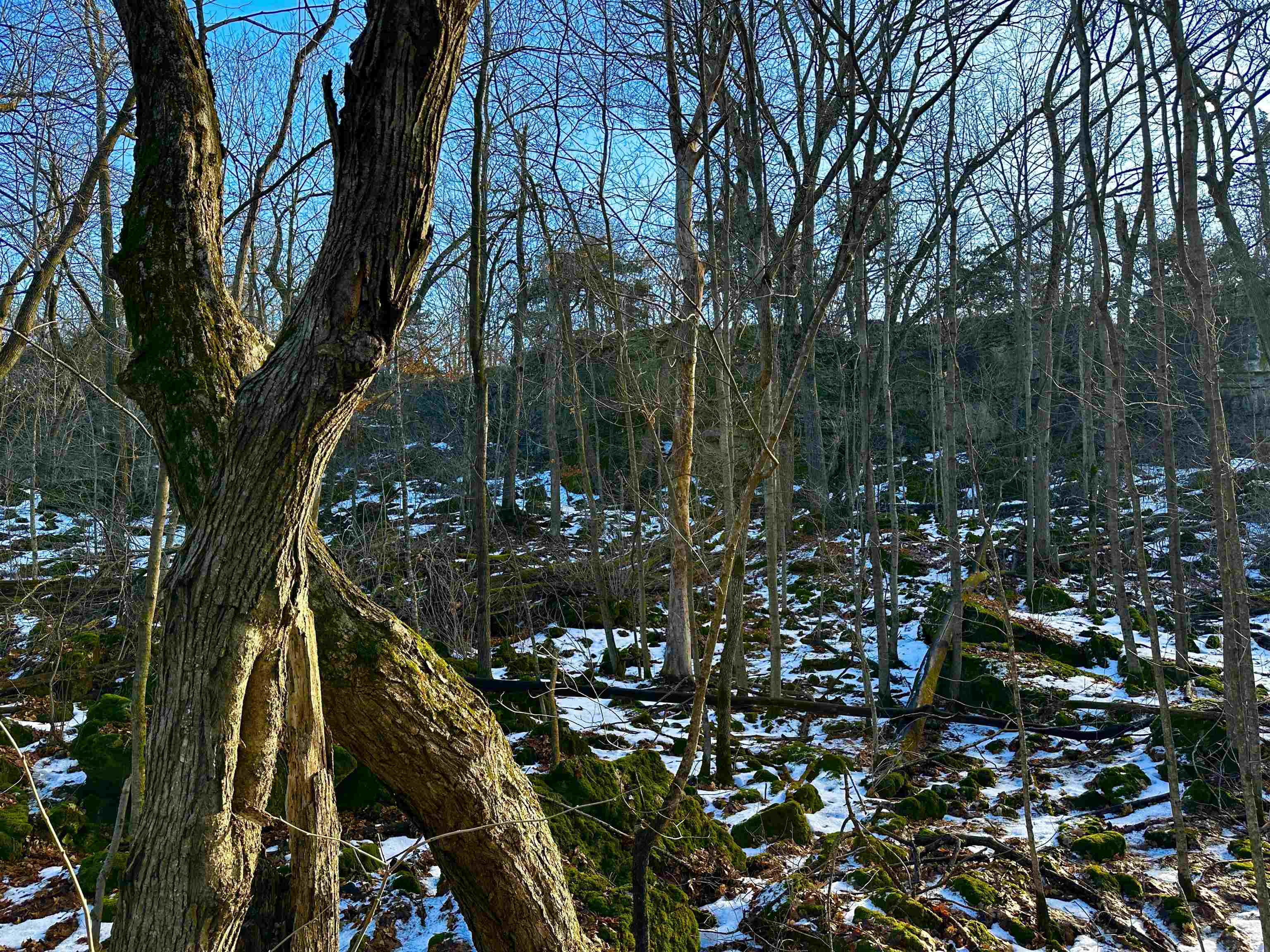 N2999 County Road B Oakfield, WI 53065 - Photo 30 of 49