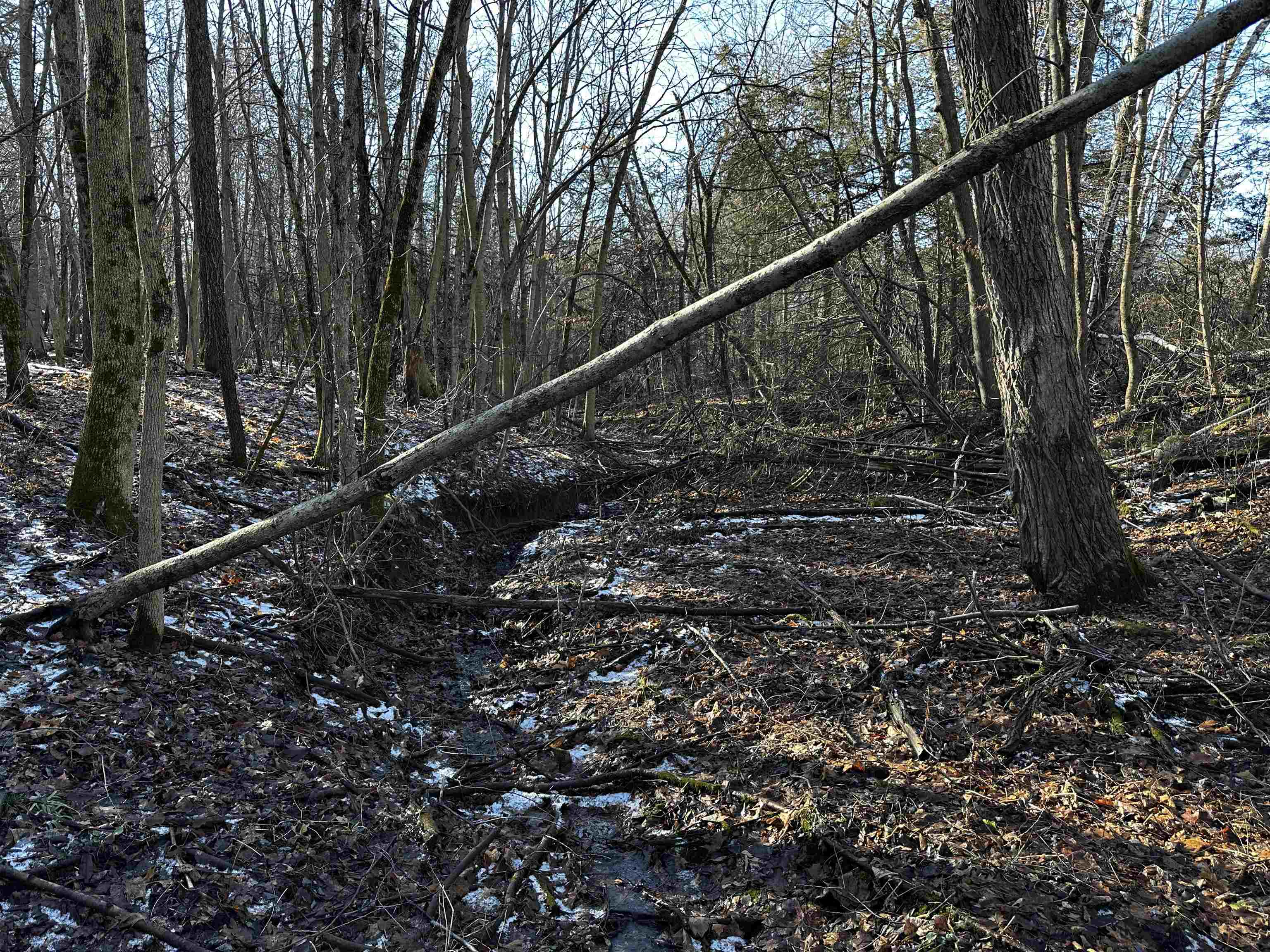 N2999 County Road B Oakfield, WI 53065 - Photo 34 of 49
