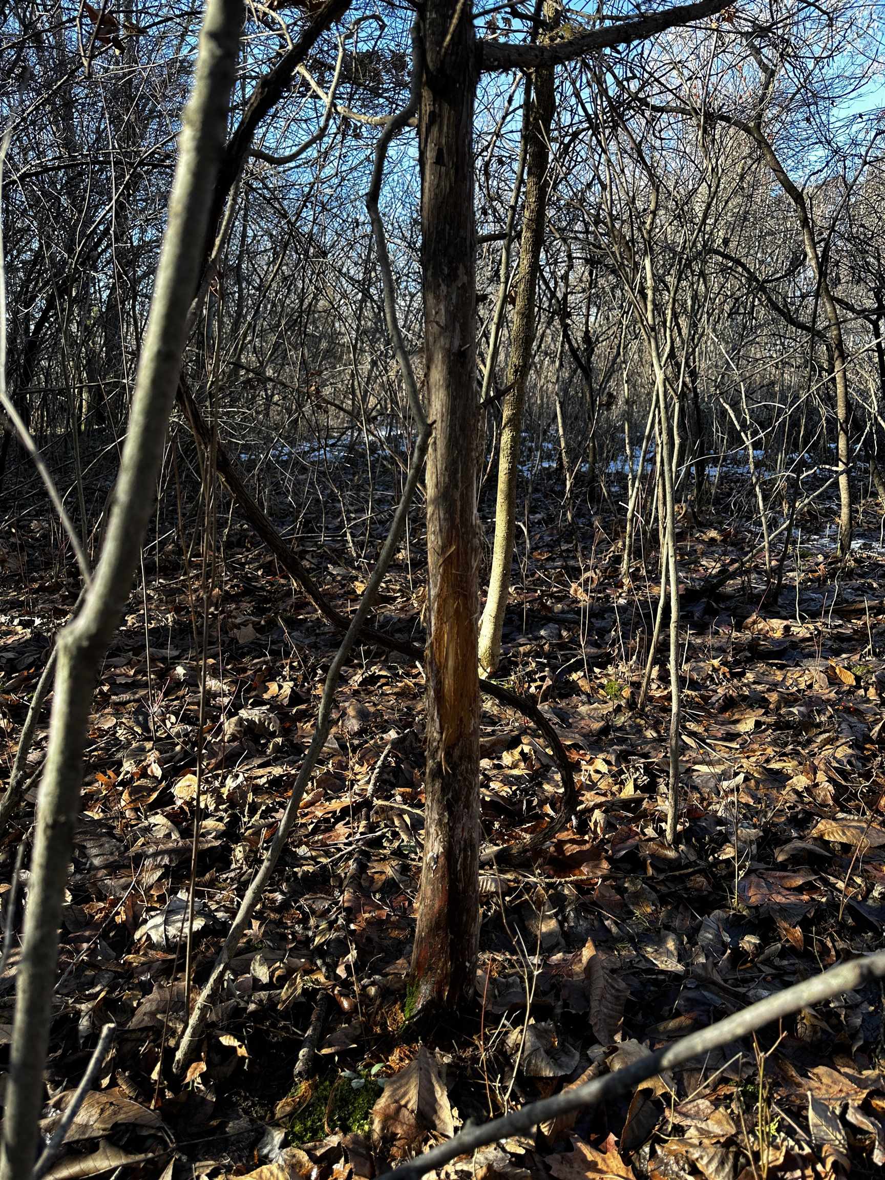 N2999 County Road B Oakfield, WI 53065 - Photo 35 of 49