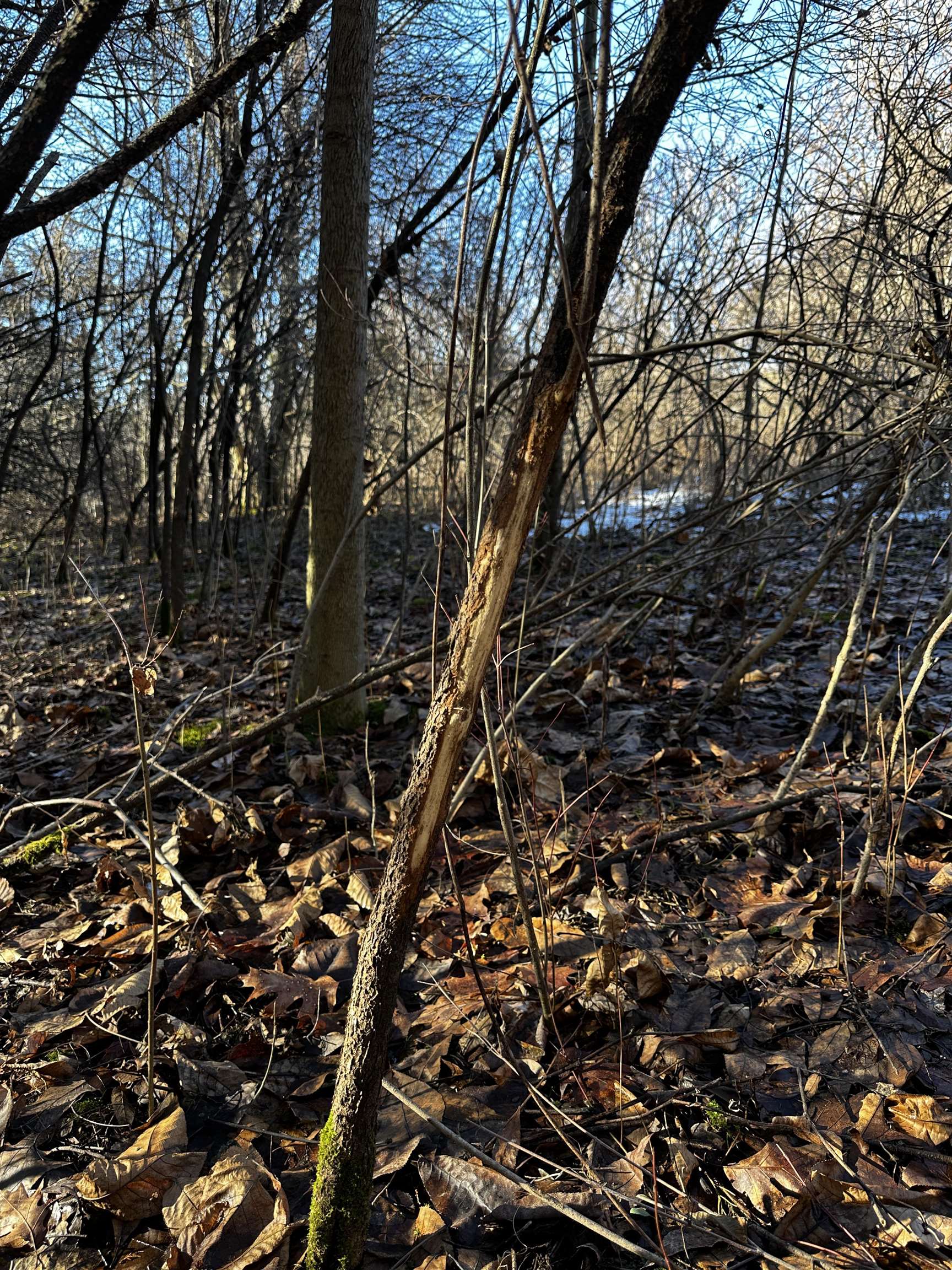 N2999 County Road B Oakfield, WI 53065 - Photo 36 of 49