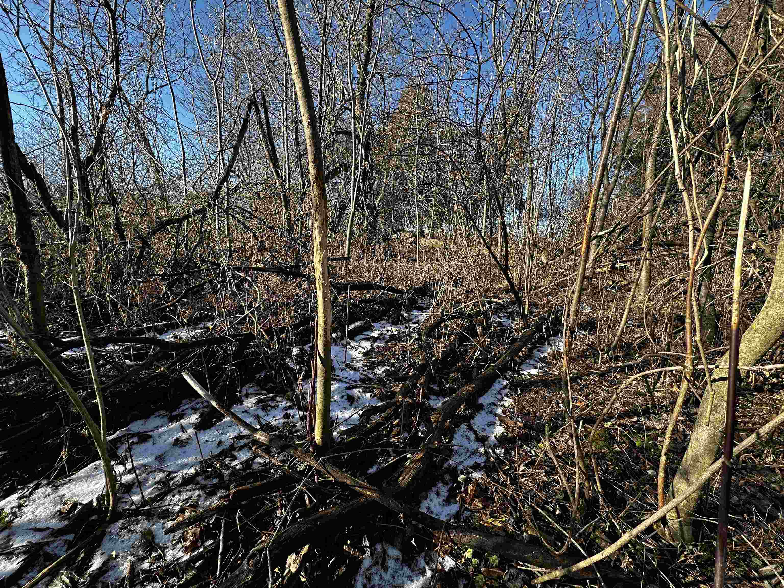 N2999 County Road B Oakfield, WI 53065 - Photo 37 of 49