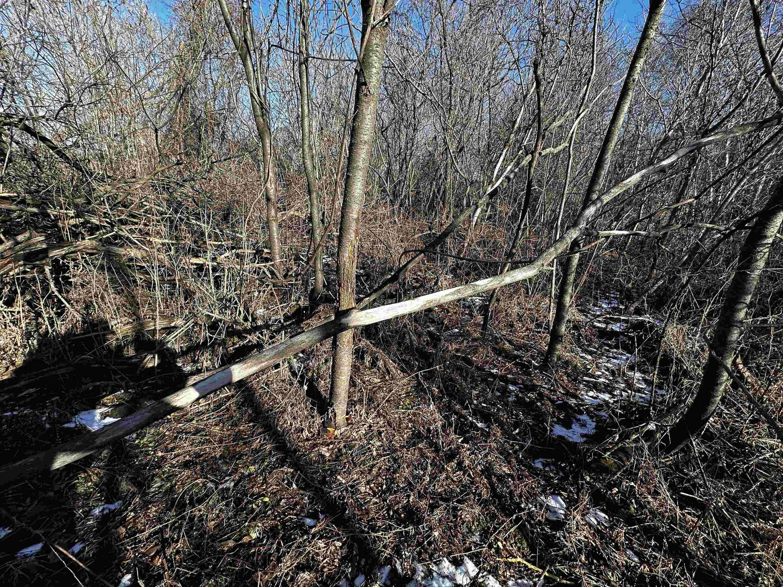 N2999 County Road B Oakfield, WI 53065 - Photo 38 of 49