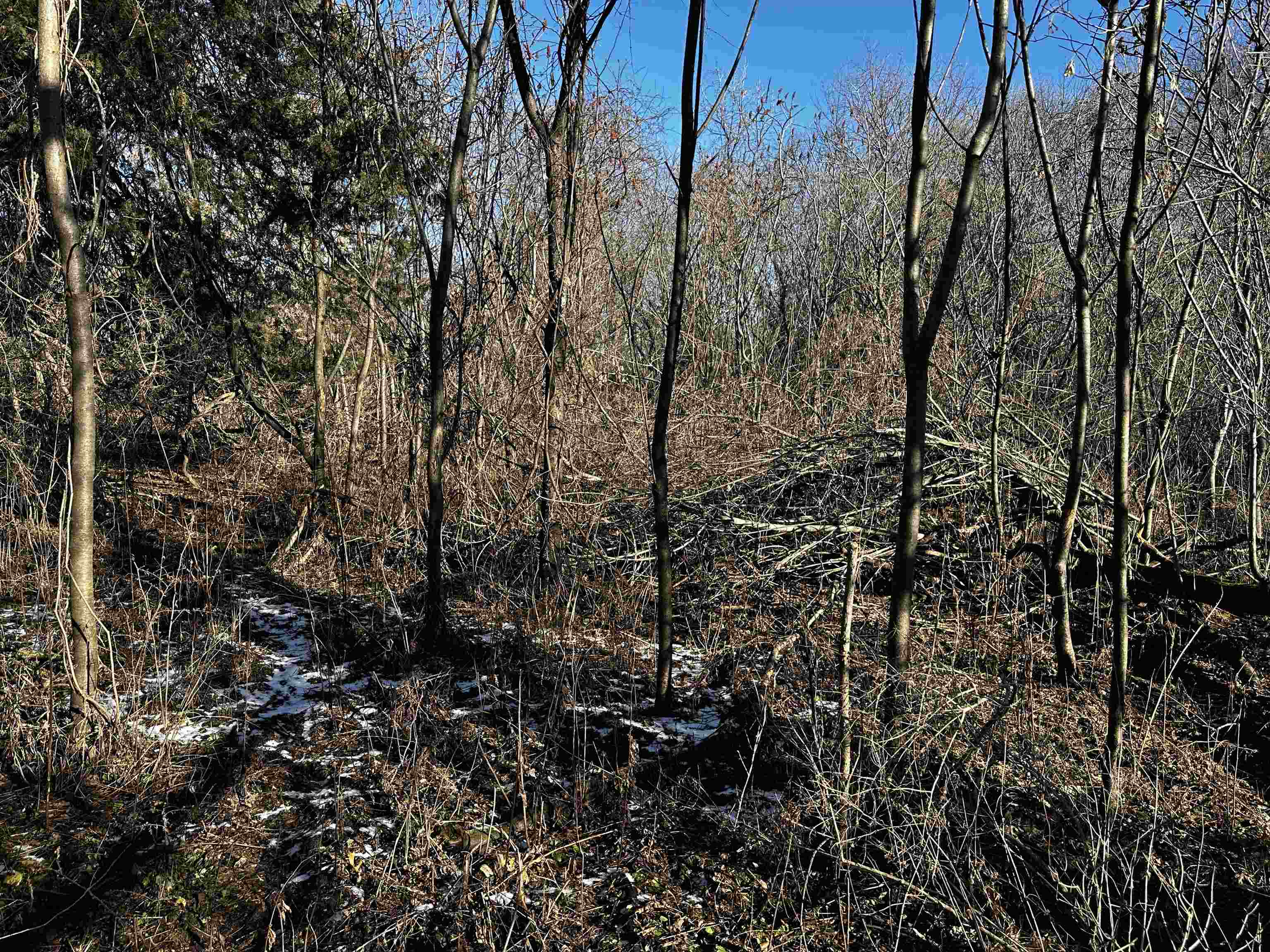 N2999 County Road B Oakfield, WI 53065 - Photo 39 of 49