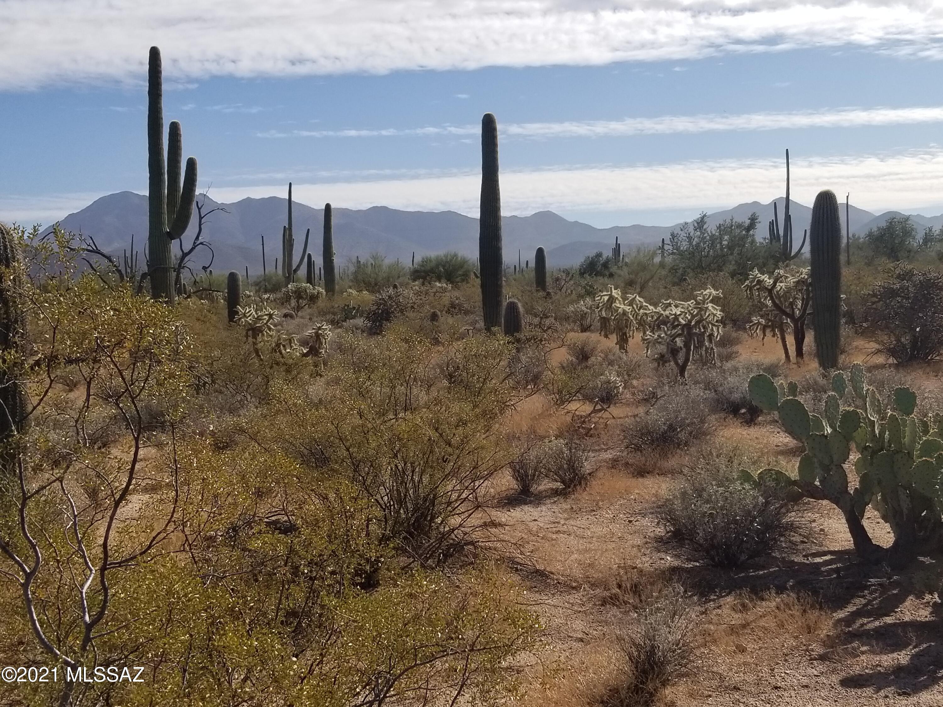 11110 West Rudasill Road, Unit 4 66 AC Tucson, AZ 85743 - Photo 8 of 19