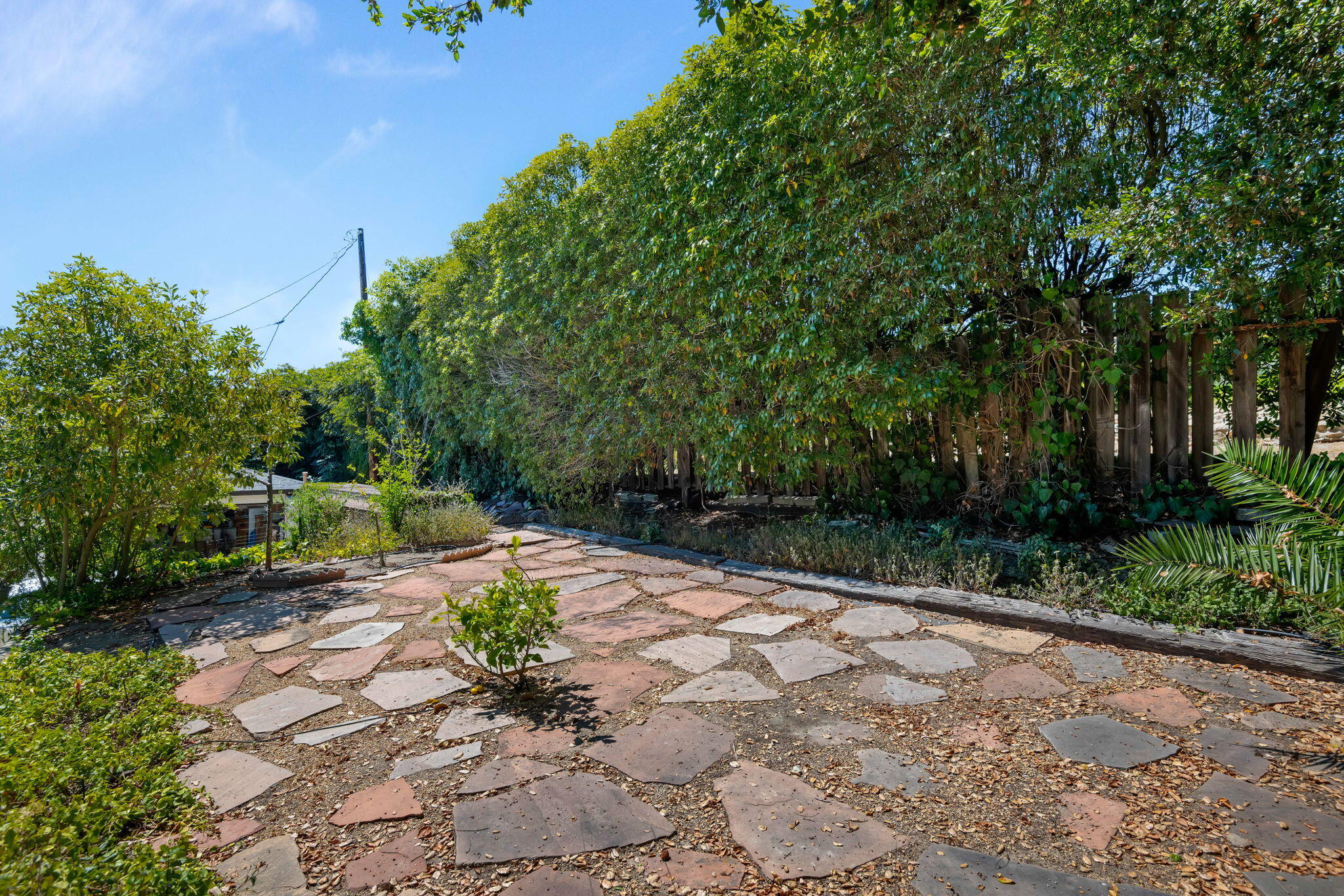 1712 Lasuen Road Santa Barbara, CA 93103 - Photo 26 of 36 a view of a pathway with a yard