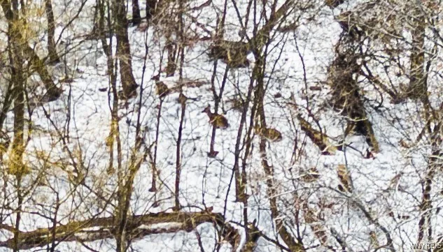 $7,000 | 99 Passaic Avenue, Lockport City, NY 14094