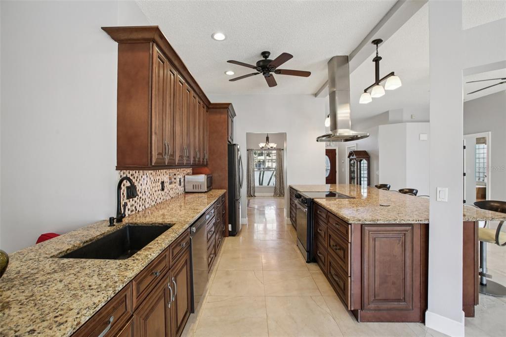 1424 Ridge Shore Drive Tarpon Springs, FL 34689 - Photo 29 of 59