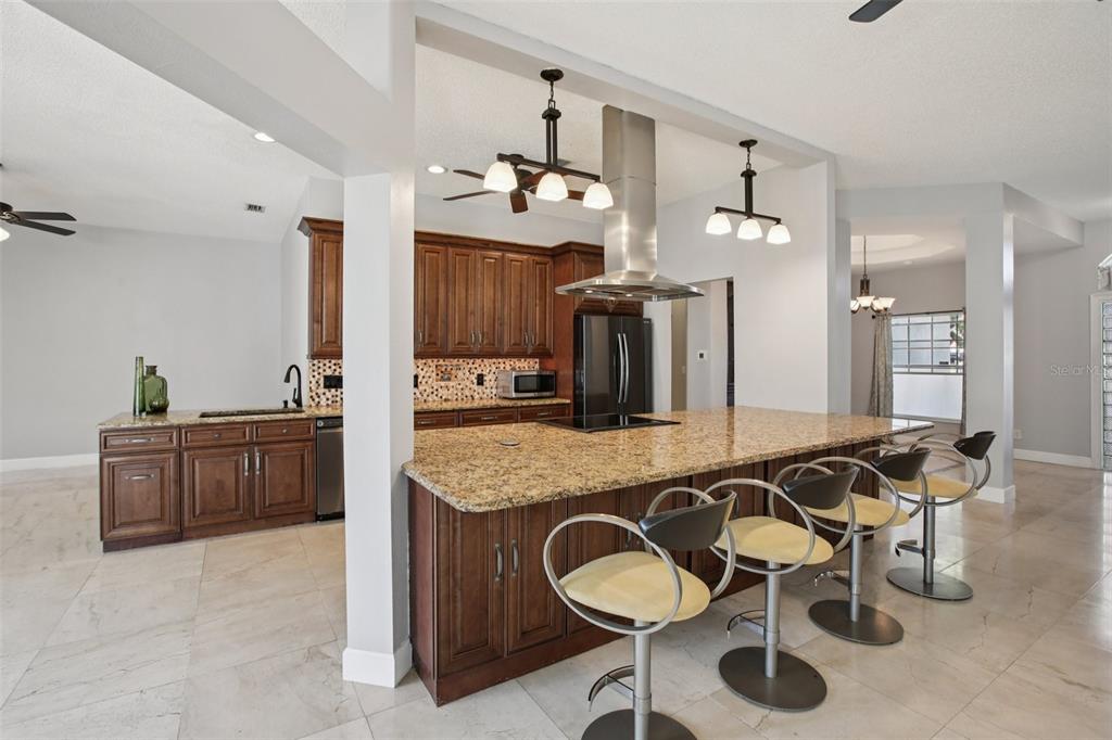 1424 Ridge Shore Drive Tarpon Springs, FL 34689 - Photo 32 of 59