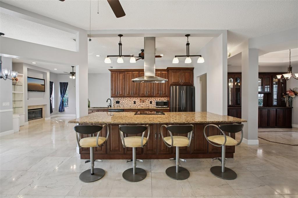 1424 Ridge Shore Drive Tarpon Springs, FL 34689 - Photo 4 of 59