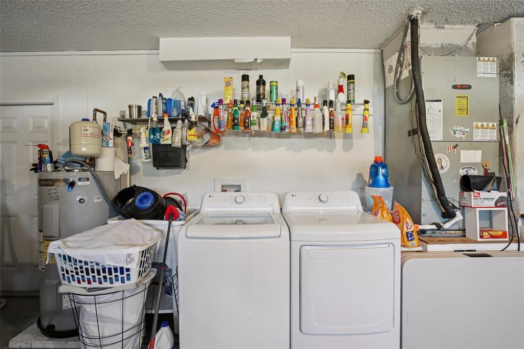 1424 Ridge Shore Drive Tarpon Springs, FL 34689 - Photo 43 of 59