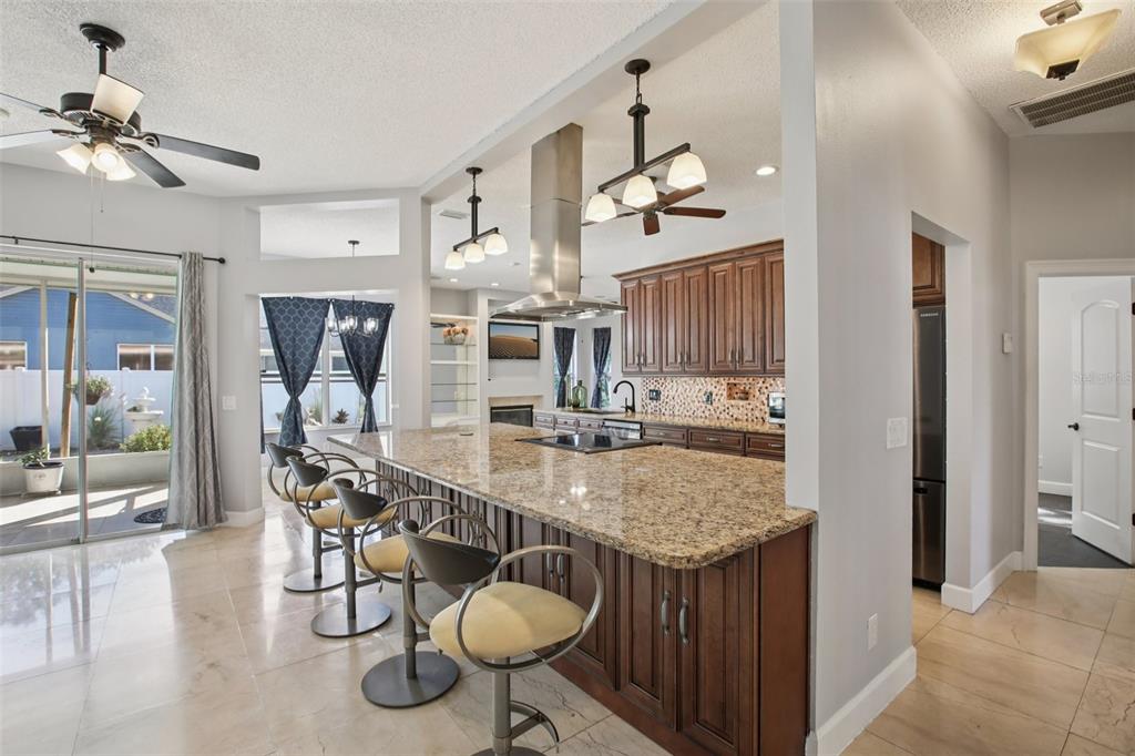 1424 Ridge Shore Drive Tarpon Springs, FL 34689 - Photo 5 of 59