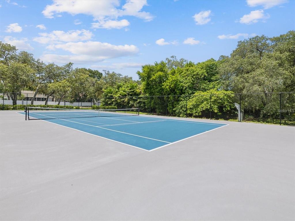 1424 Ridge Shore Drive Tarpon Springs, FL 34689 - Photo 54 of 59